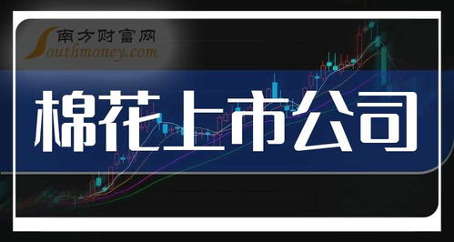 2025年棉花產(chǎn)業(yè)鏈及軟件開(kāi)發(fā)上市公司龍頭股解析